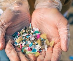 MICROPLASTICOS. Impactos en nuestra salud