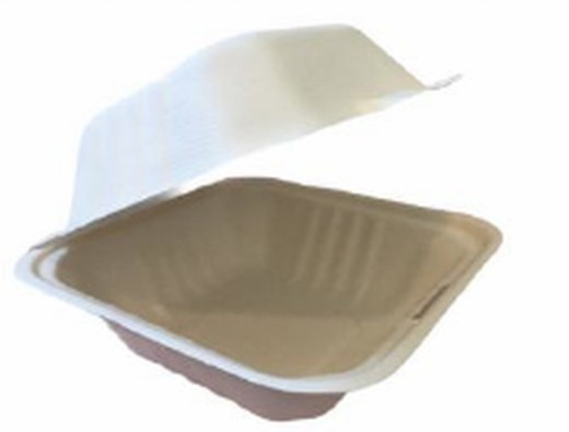 Caja comida fria caliente pasteleria  bagazo con Tapa 152 x 152 x 44 cm(500 unidades) personalizable