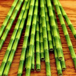 Pajitas de Papel Desechables (Simil Bambu)Rectas- 21 cm - (500 Unidades)